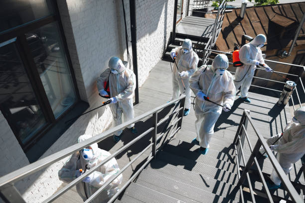 Mold Remediation for Rental Properties in Guntersville, AL