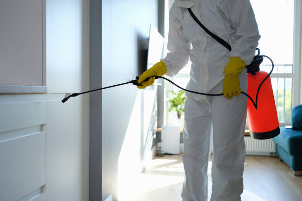 Best Commercial Mold Inspection  in Guntersville, AL