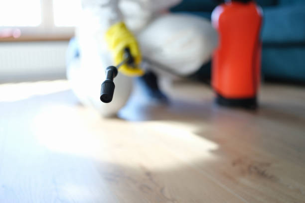Biohazard Mold Removal in Guntersville, AL
