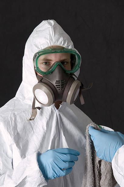 Best Black Mold Removal  in Guntersville, AL