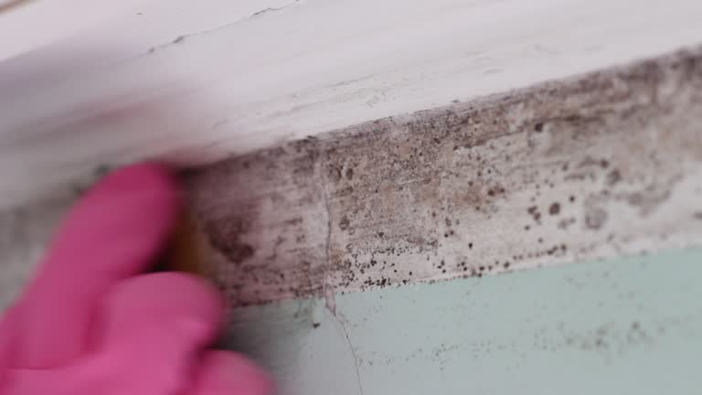 Best Airborne Mold Testing  in Guntersville, AL